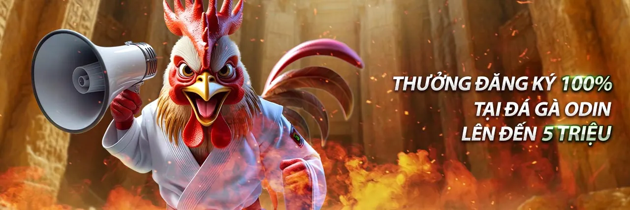 Ưu đãi Hoàn trả Hàng ngày df999 đăng nhập