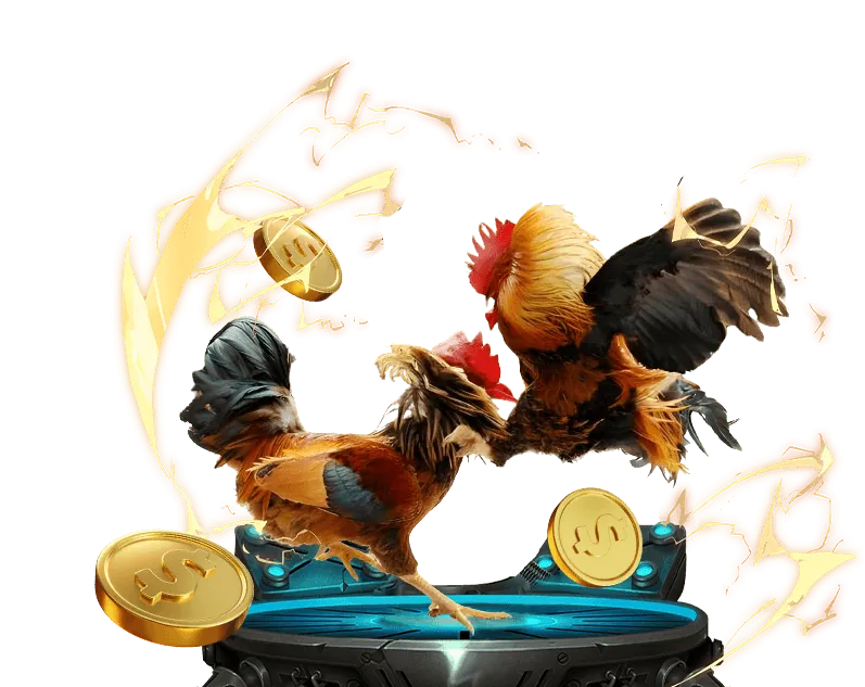 Hoàn trả hàng ngày df999